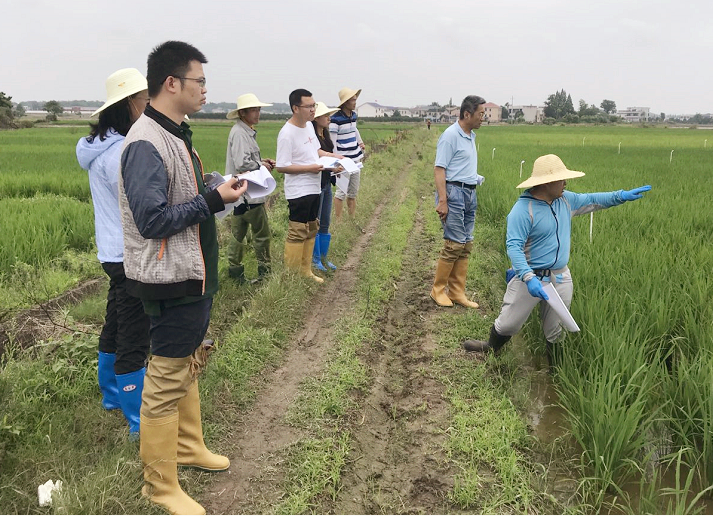 ����������������������Ʒӭ���������ִ�