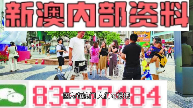 关于新澳2024年精准特马资料的探讨与警示