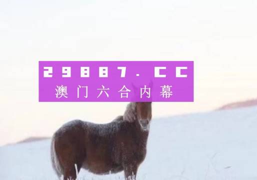 澳门今晚一肖必中特，揭示背后的风险与挑战