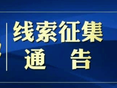 澳门正版精准免费大全——揭示违法犯罪真相