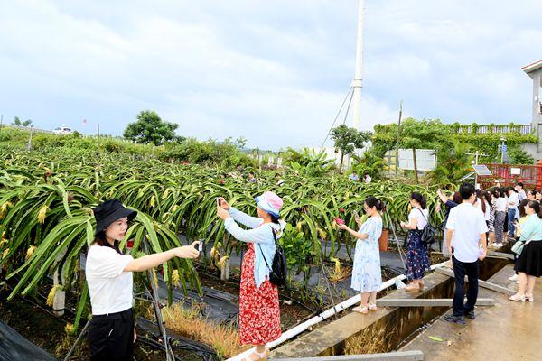 新澳精选资料免费提供，助力学习与发展的宝贵资源