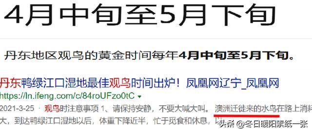 关于2024新澳最精准资料大全的警示文章