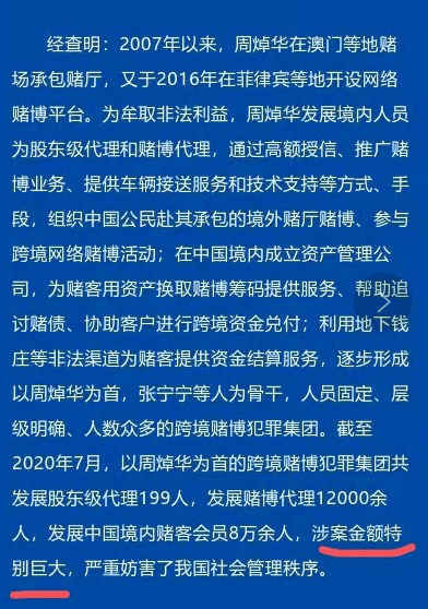 澳门正版资料全年免费看啊——揭示背后的违法犯罪问题