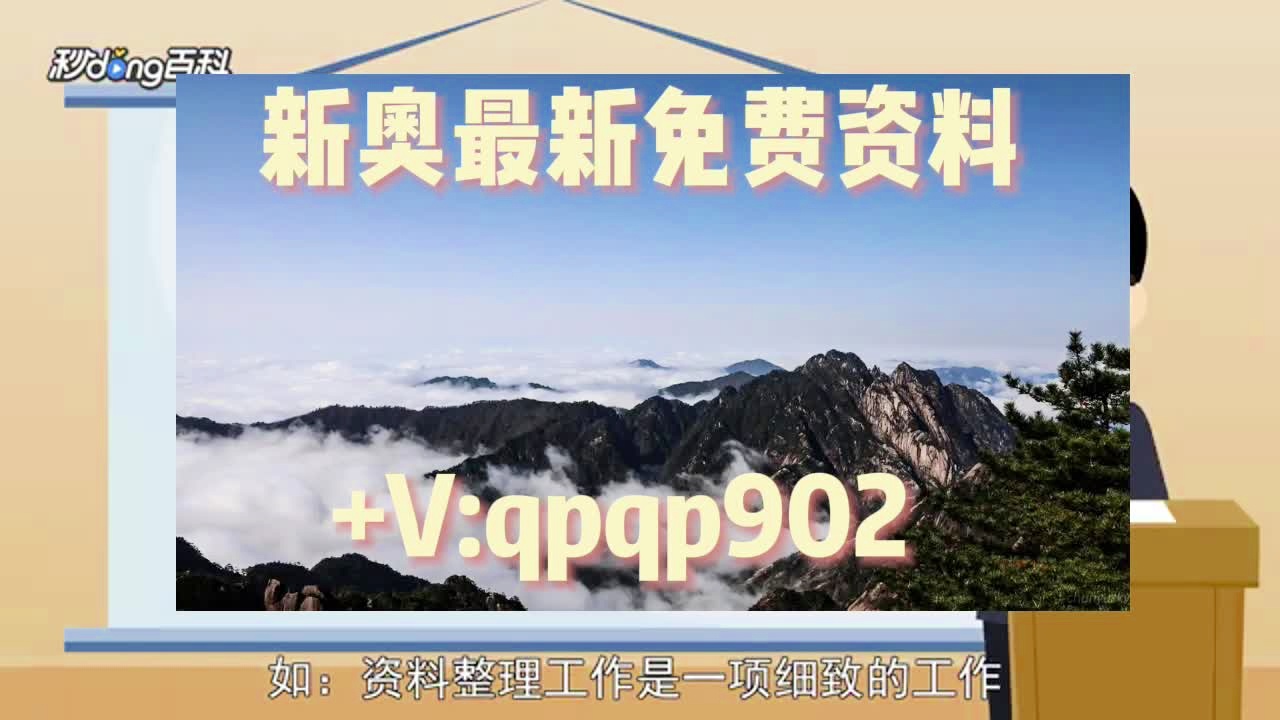 新澳资料大全2024年概览