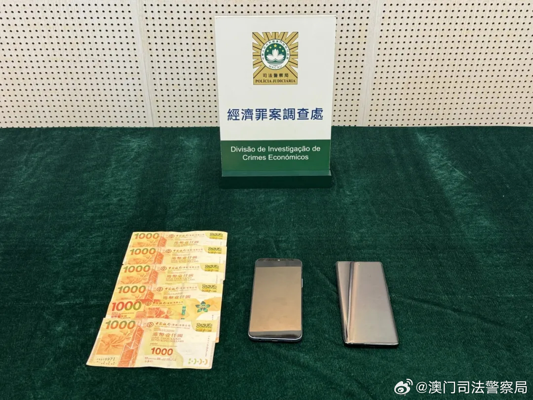 澳门王中王100%的资料2024年，澳门王中王100%的资料——警惕犯罪风险，切勿参与非法赌博活动