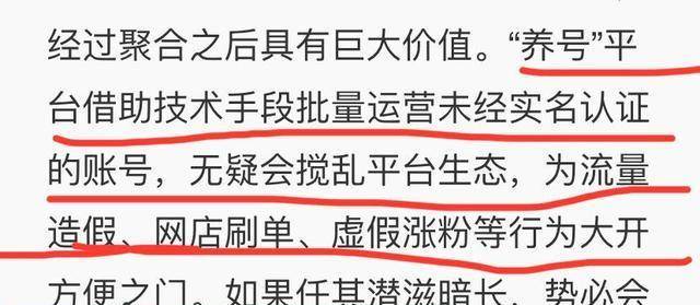 澳门100%最准一肖，澳门100%最准一肖——揭秘背后的违法犯罪问题