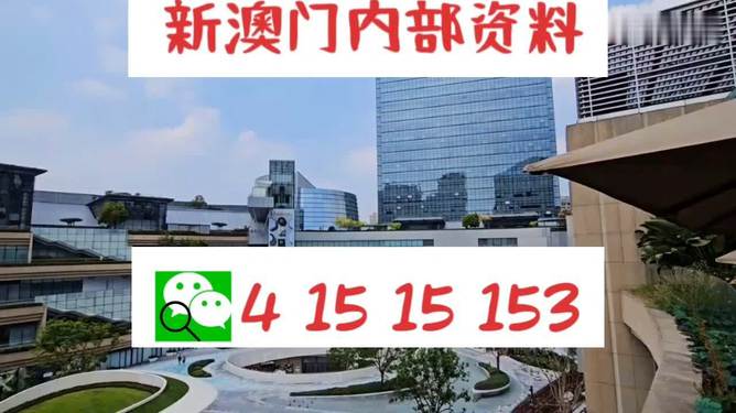 新澳门内部一码精准公开，警惕新澳门内部一码精准公开的潜在风险——揭露相关犯罪问题