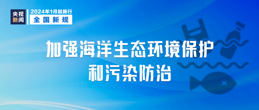 新澳2024正版资料免费公开，关于新澳2024正版资料的免费公开，揭示背后的风险与警示