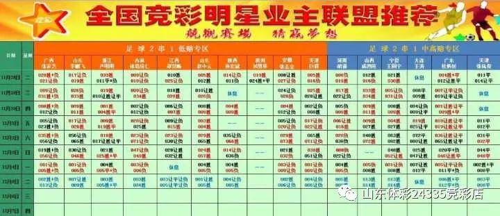 2024年新奥门天天开彩，新澳门天天开彩，探索未来的彩票新世界（2024年展望）