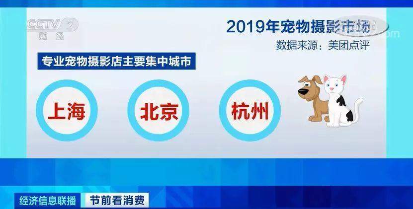 管家婆一肖一码100正确，管家婆一肖一码，揭秘100%正确的预测之道