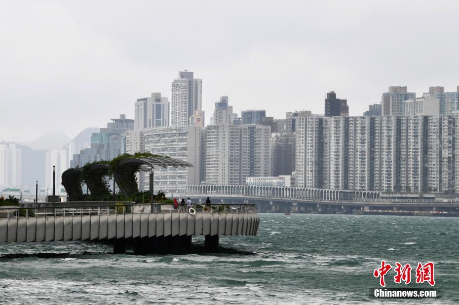 2024年香港正版资料免费大全，2024年香港正版资料免费大全——探索信息的海洋