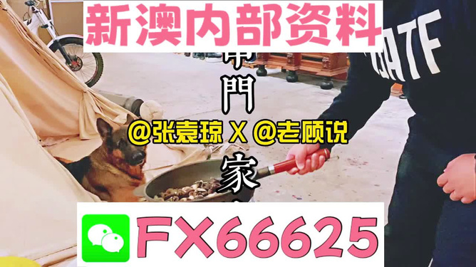 新澳门精准资料大全管家婆料，警惕新澳门精准资料大全管家婆料——揭开犯罪行为的真相