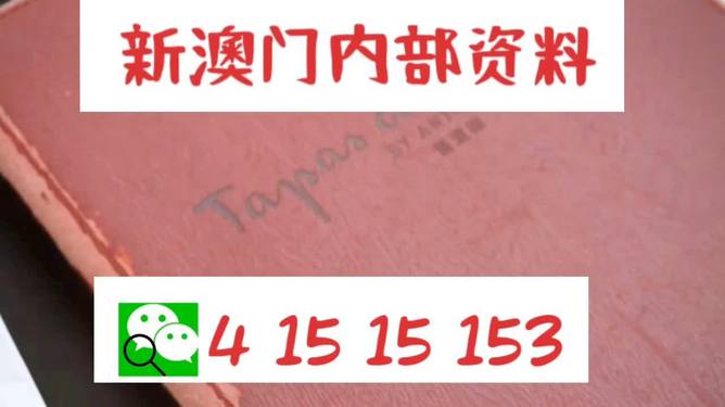 新澳门今天最新免费资料|精选准确资料解释落实