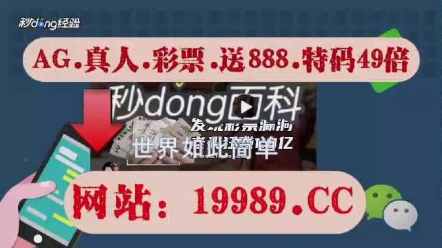 2024澳门天天开好彩资料|精选准确资料解释落实