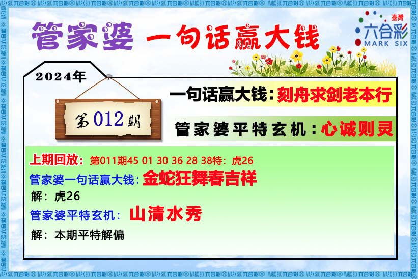 管家婆的资料一肖中特46期|精选准确资料解释落实