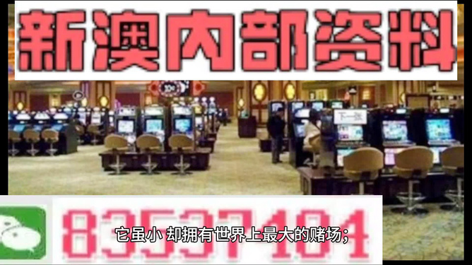 2024澳门精准正版|精选准确资料解释落实