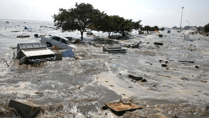 美国地震海啸最新消息