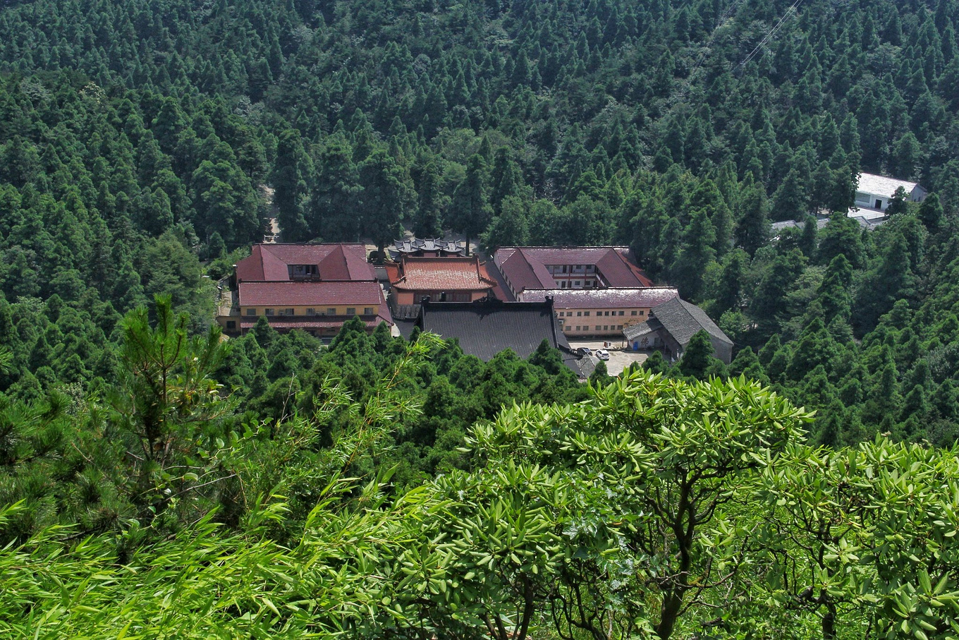 天台华顶森林公园最新