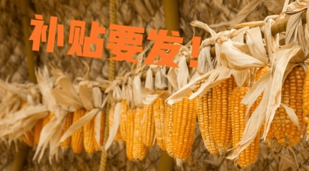 大豆补贴最新消息2019