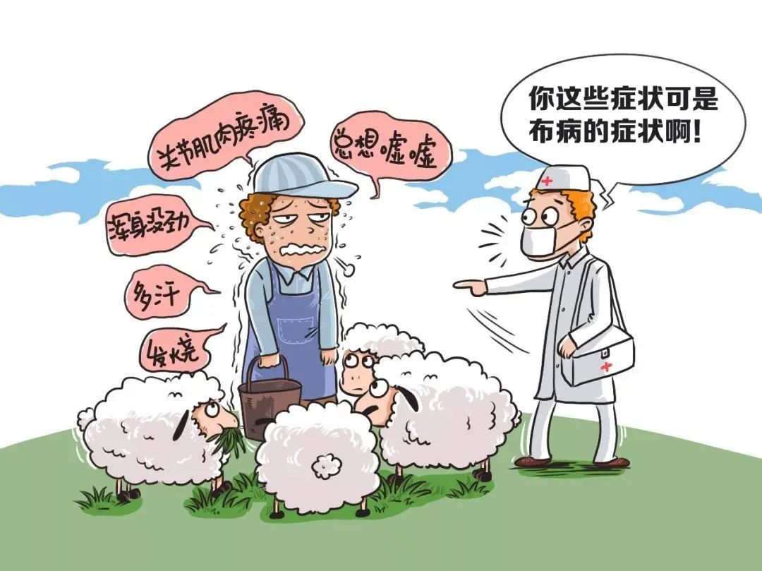 兰州布病感染最新事件