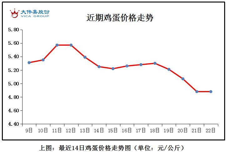 最新消息鸡旦走势