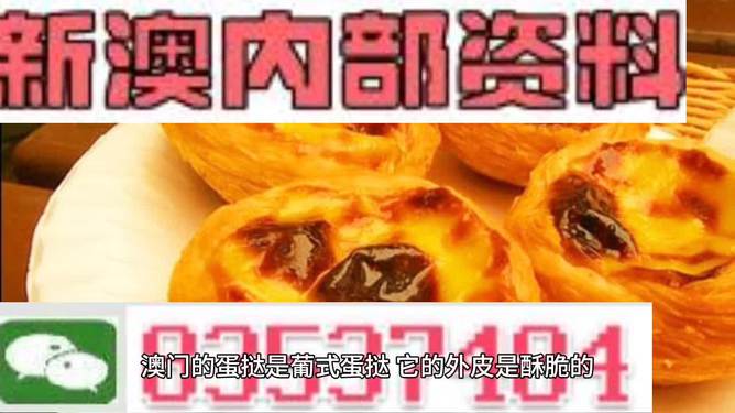 2024新澳精准资料免费|精选资料解释大全