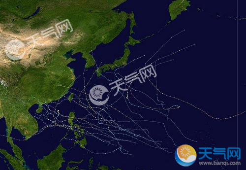 今年第十一号台风最新消息