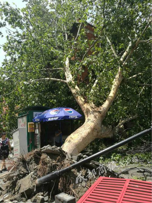 绵阳市东林乡最新消息