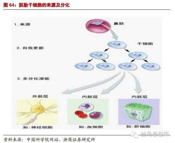 2020年干细胞最新治疗公布