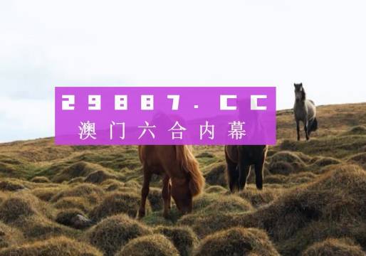 最准一肖一码一一香港澳王一王|精选资料解释大全