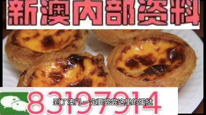 2024澳门精准正版免费大全|精选资料解释大全