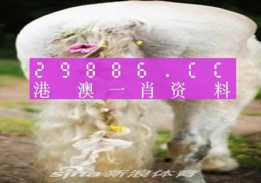 澳门一肖一码准选一码2023年|精选资料解释大全