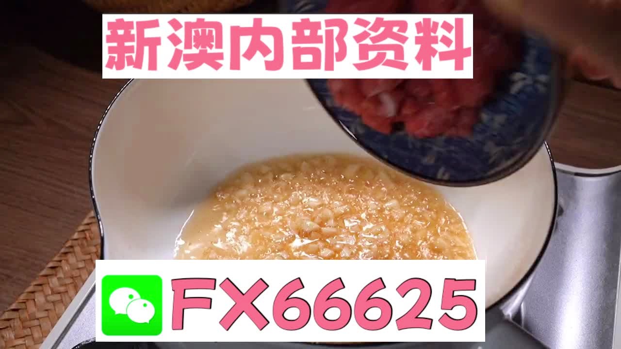 新澳门精准5码中特|精选资料解释大全