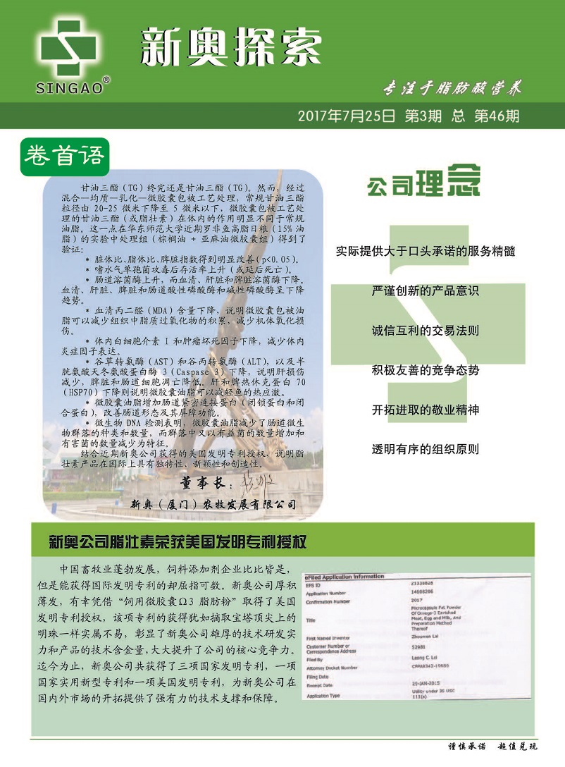 新奥精准免费资料提供|精选资料解释大全