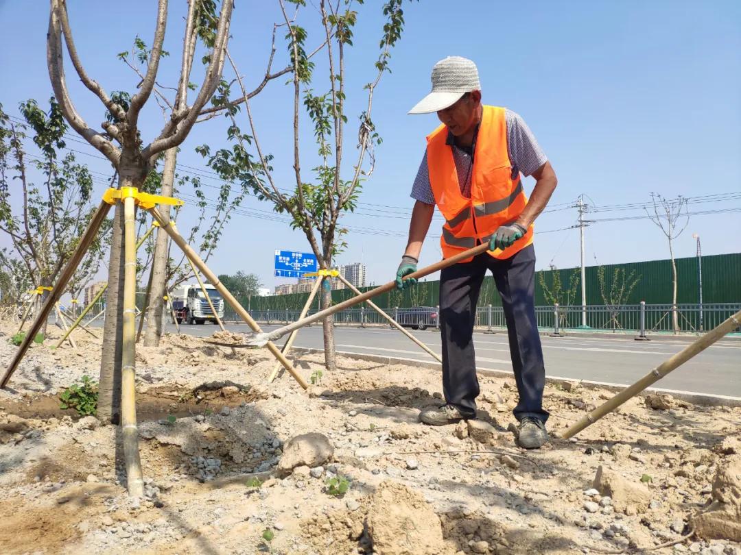 菏泽市最新道路规划图