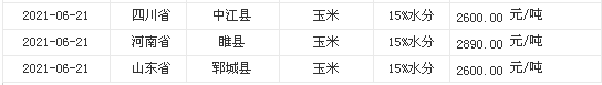 泰版一吻定情2最新消息