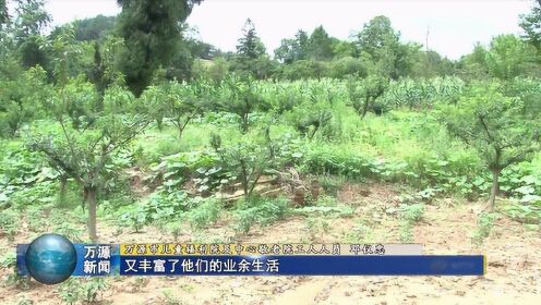 万源市花楼乡最新消息