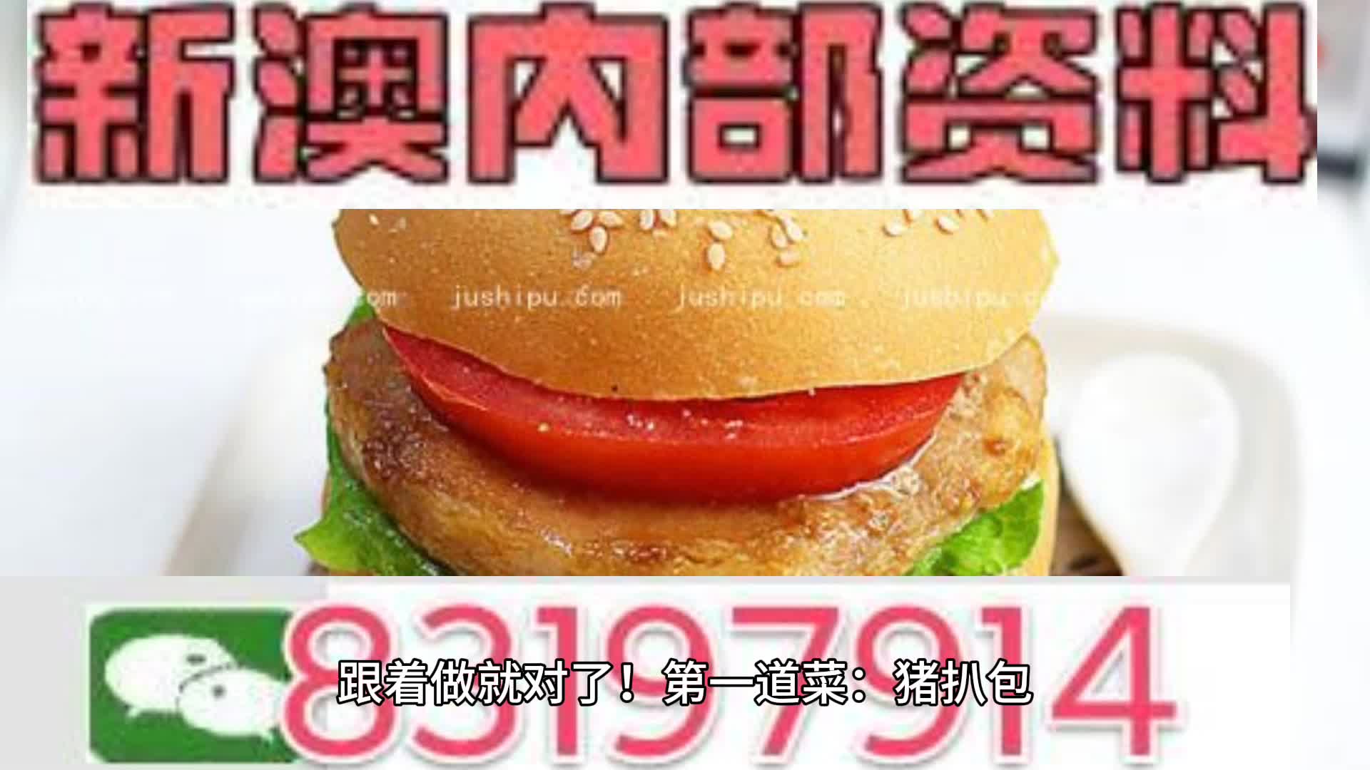 2024新澳正版免费资料大全