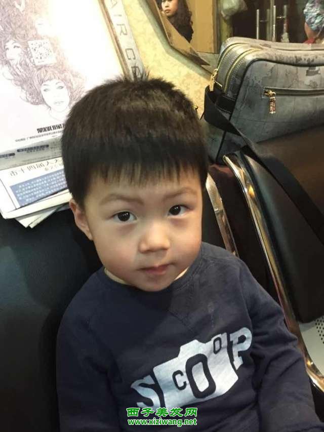 最新婴幼儿发型图片男