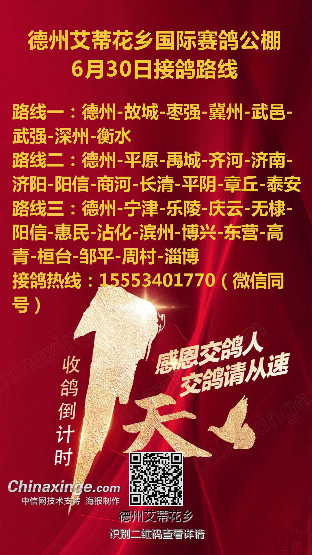 文德赛鸽公棚最新公告