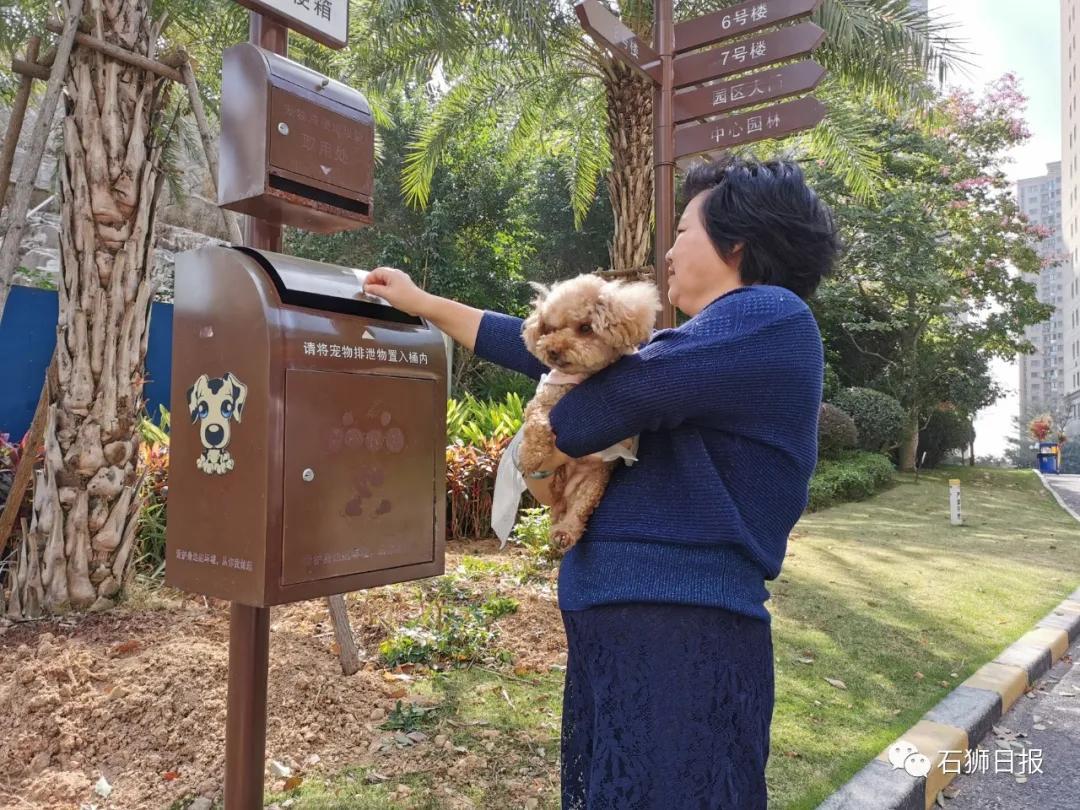 石狮恒大名都最新房价