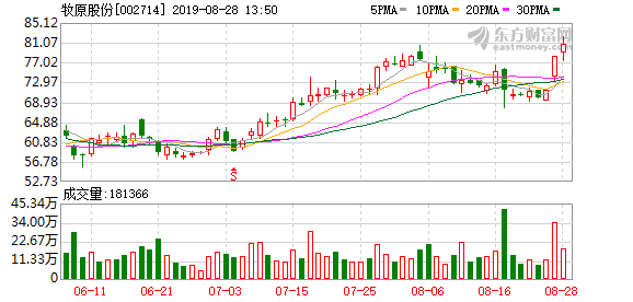 华期股份最新消息