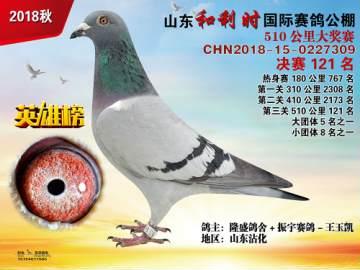 精细化工 第233页