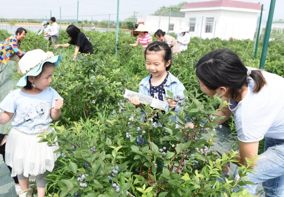 滁州最新房价姑塘新村