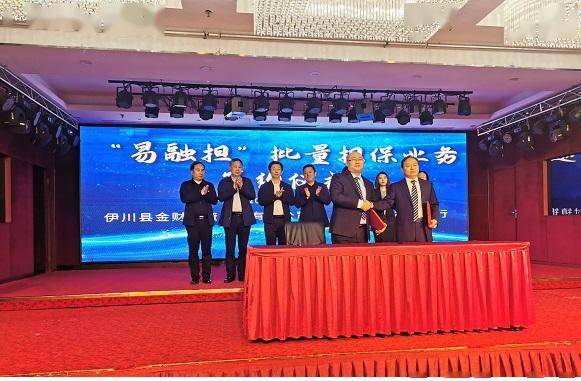 洛阳担保公司最新消息