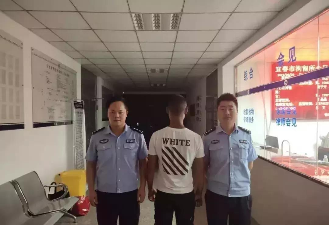 宜慈公路最新消息
