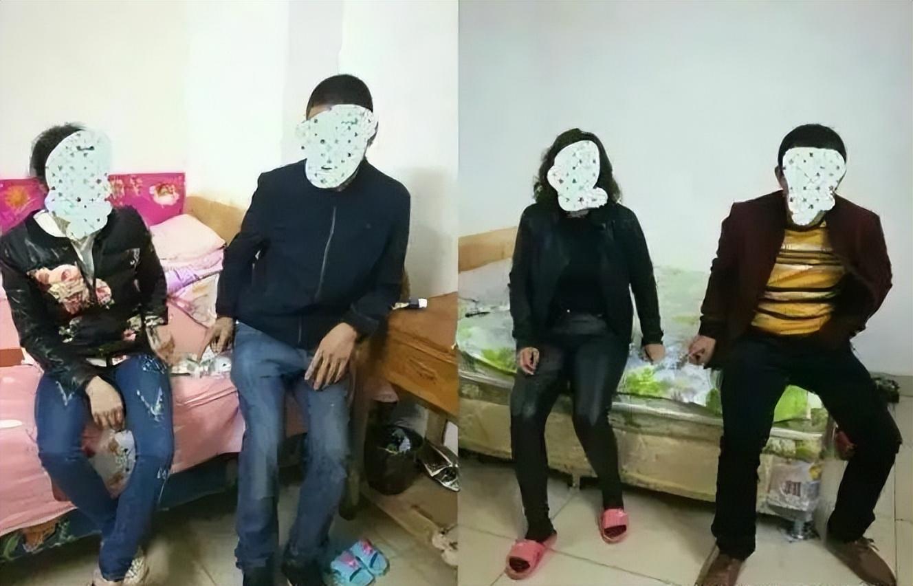 四肖八肖期期准资料精选,四肖八肖期期准资料精选，揭秘精准预测的秘密
