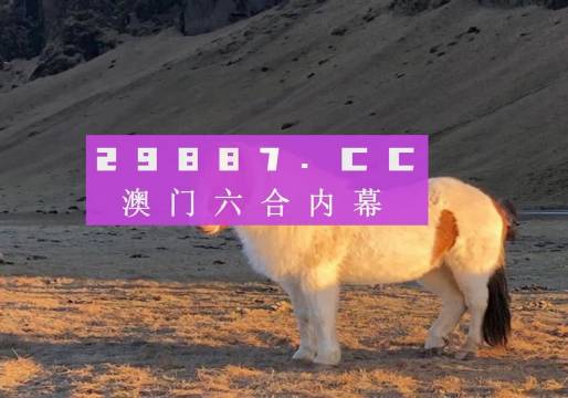 澳门今晚一肖一码1009995,澳门今晚一肖一码1009995，探索与预测的魅力