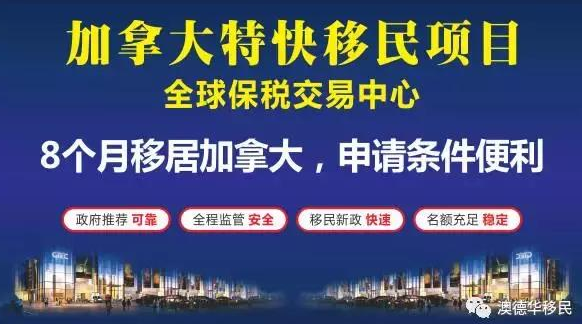 新澳内部爆料,新澳内部爆料，揭秘一家企业的真实面貌