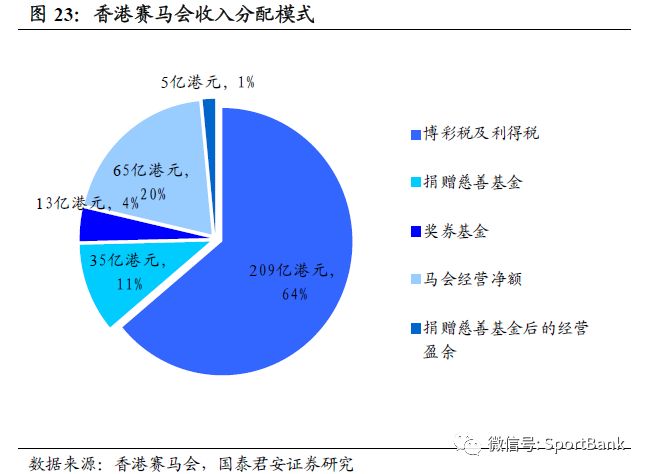 2025今晚香港开特马,今晚香港开特马，探索赛马文化，展望未来的精彩瞬间